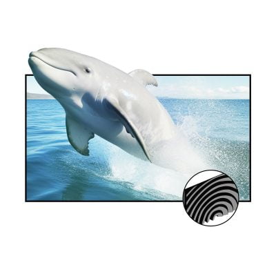 150\" Floor Rising Electric Tensioned Screen (UST And Non UST) – Personal Projector